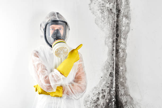 Best Commercial Mold Inspection  in Hondo, TX